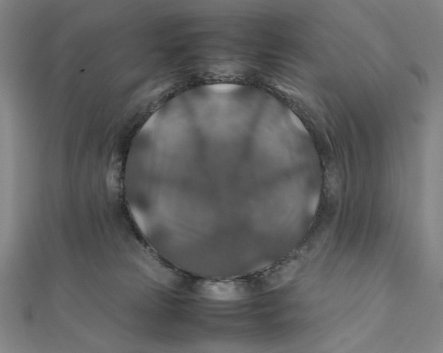 X0000112010181200908311141
