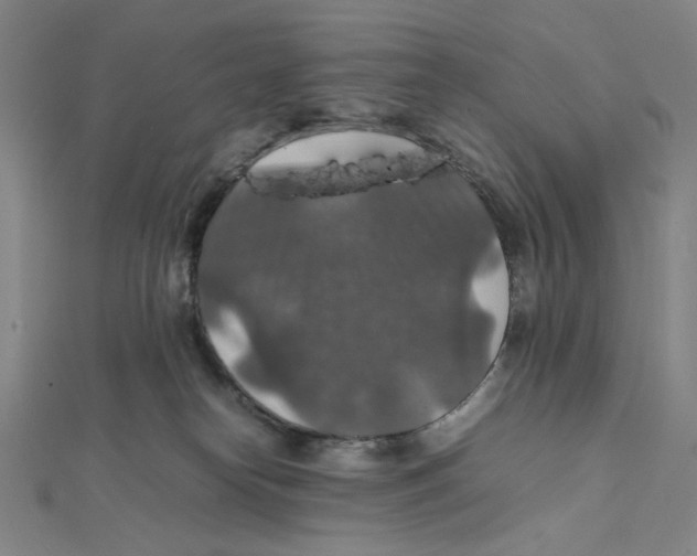 X0000112010182200908311141