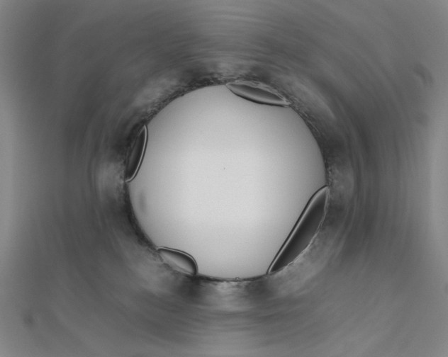 X0000112010184200908311141