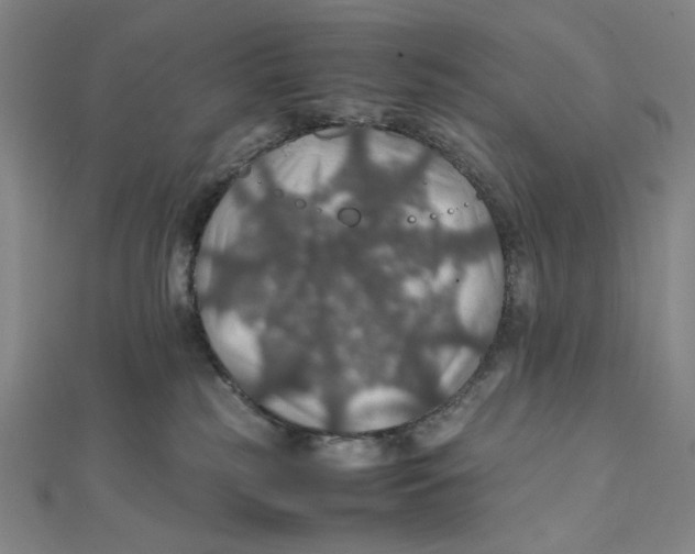 X0000112010185200908311141
