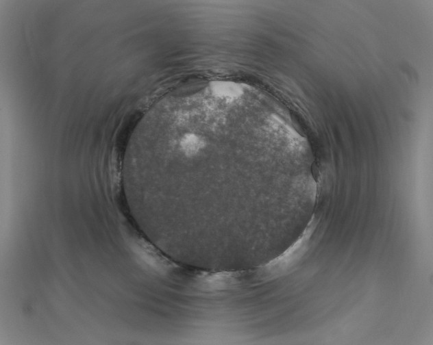 X0000112010186200908311141