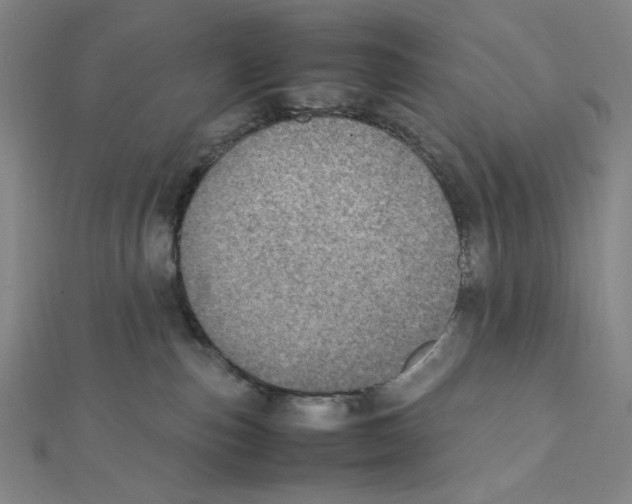 X0000112010187200908311141