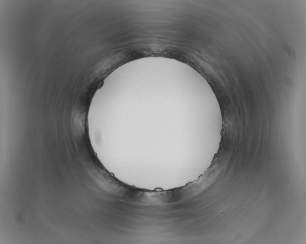 X0000112010188200908311141