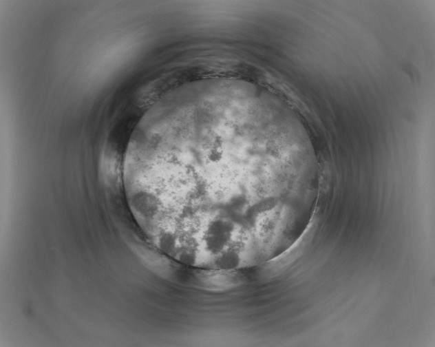 X0000112010191200908311141