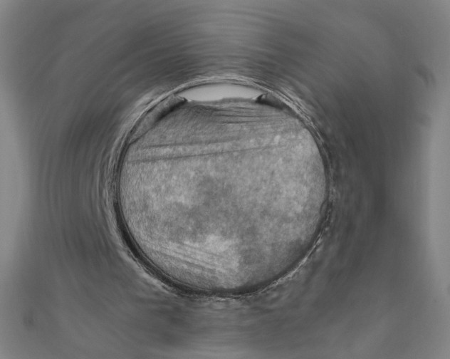 X0000112010193200908311141