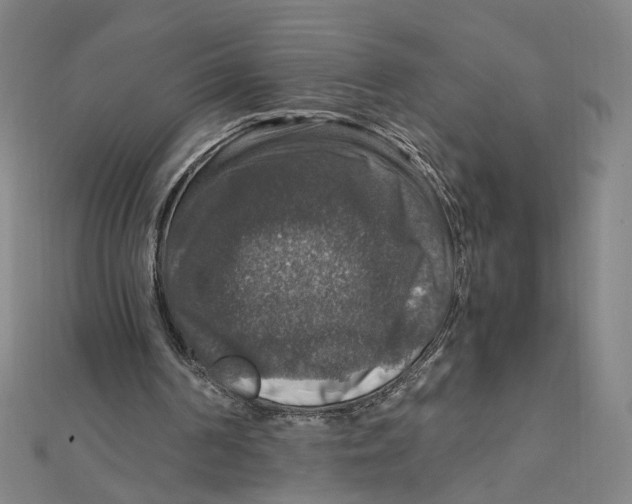 X0000112010194200908311141