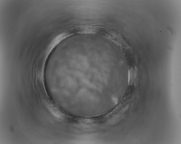 X0000112010195200908311141