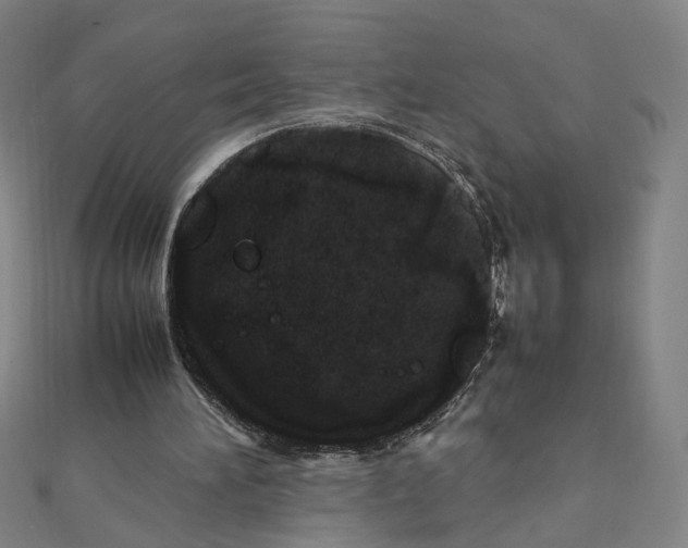 X0000112010196200908311141