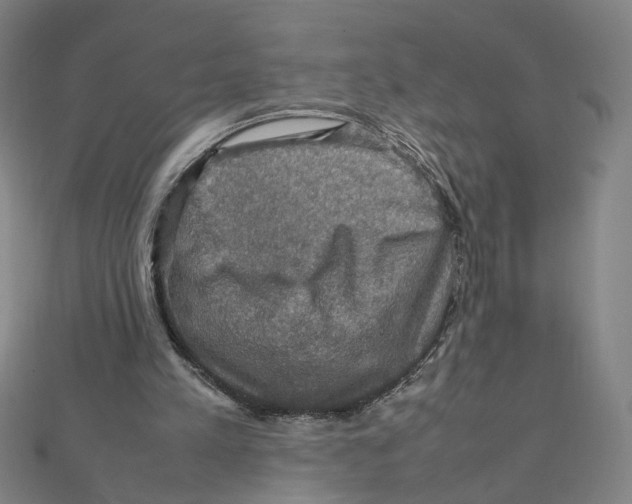 X0000112010197200908311141