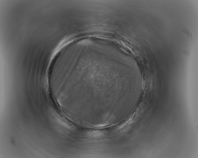 X0000112010198200908311141