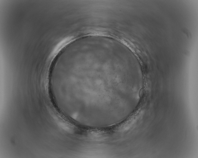 X0000112010199200908311141