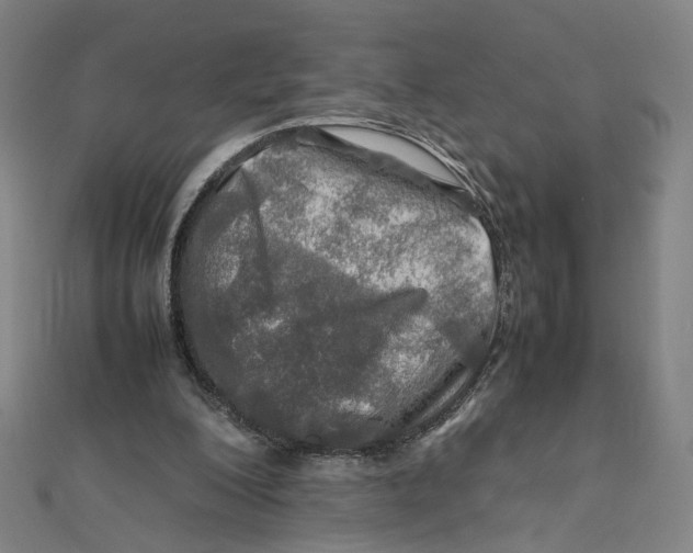 X0000112010200200908311141