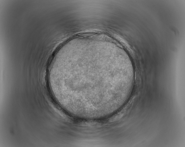 X0000112010201200908311141