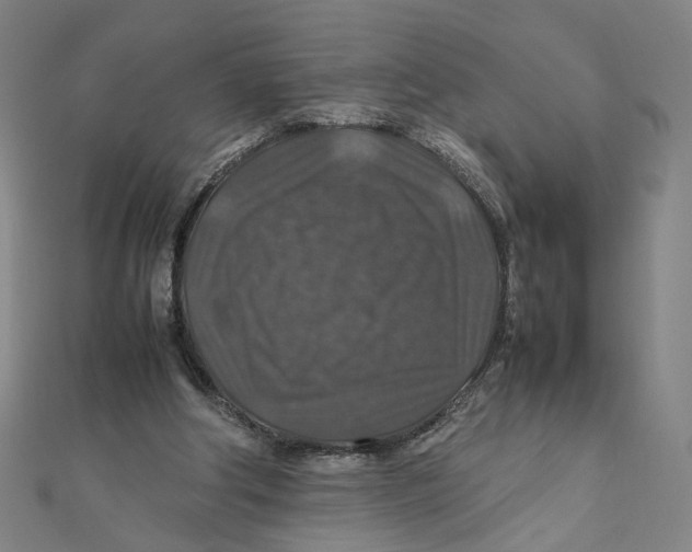 X0000112010202200908311141