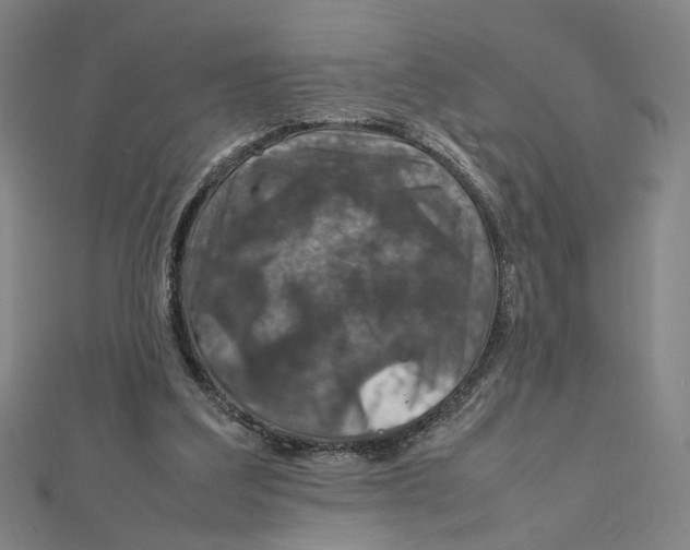 X0000112010203200908311141