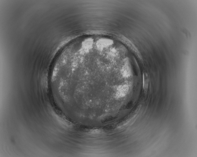 X0000112010204200908311141