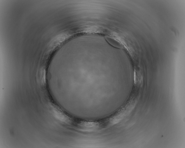 X0000112010205200908311141