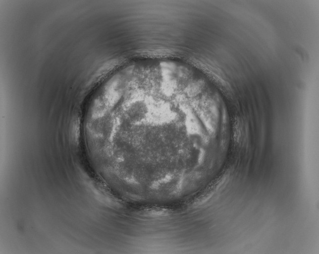 X0000112010206200908311141