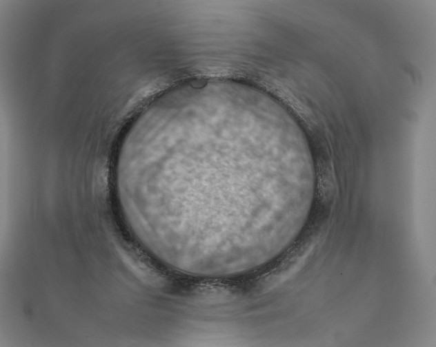 X0000112010207200908311141
