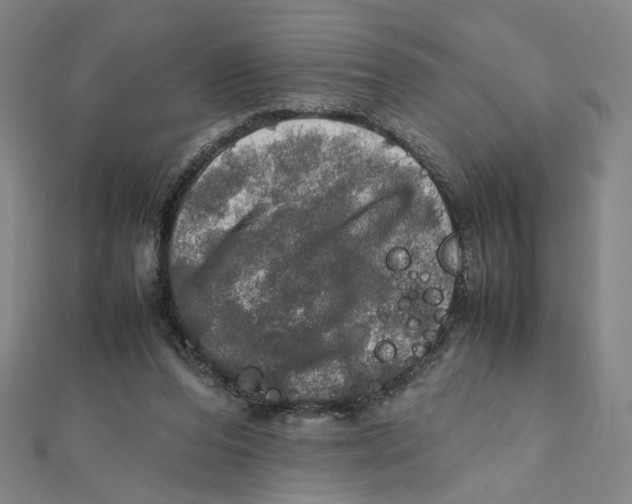 X0000112010208200908311141