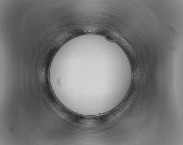 X0000112010209200908311141