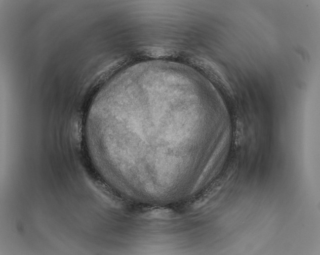 X0000112010210200908311141