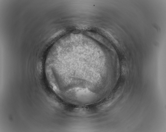 X0000112010211200908311141