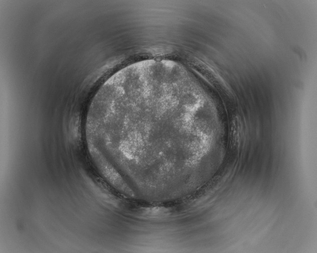 X0000112010212200908311141