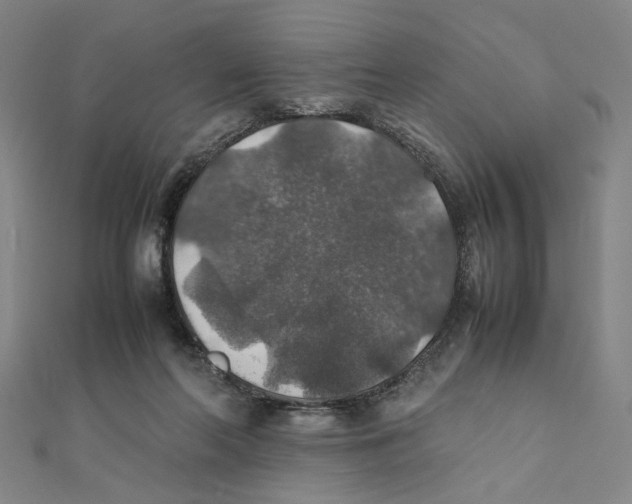 X0000112010214200908311141