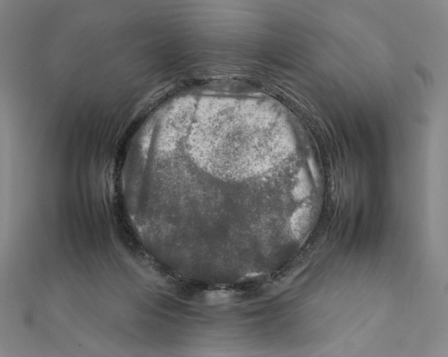 X0000112010216200908311141