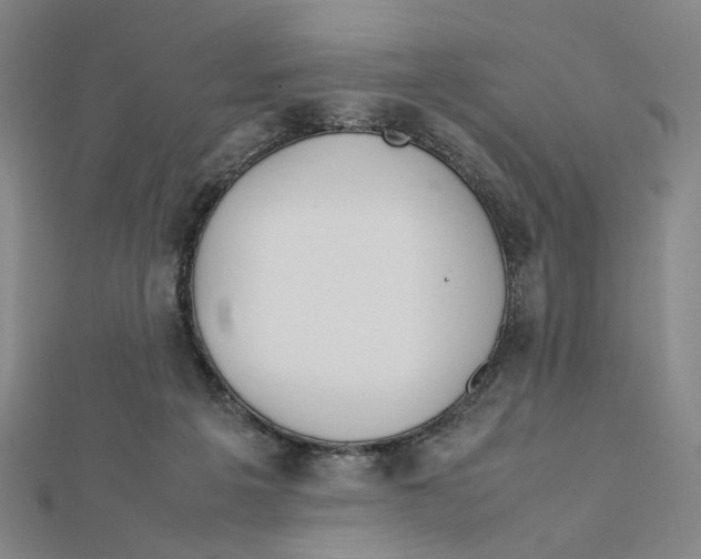 X0000112010217200908311141