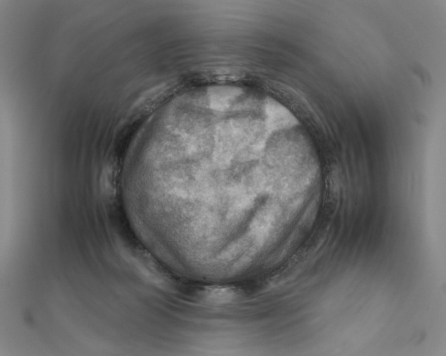 X0000112010218200908311141