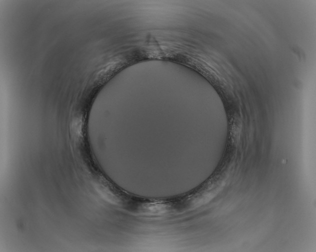 X0000112010219200908311140
