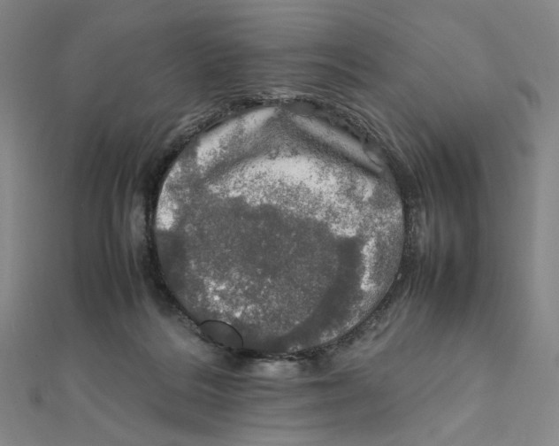 X0000112010220200908311140