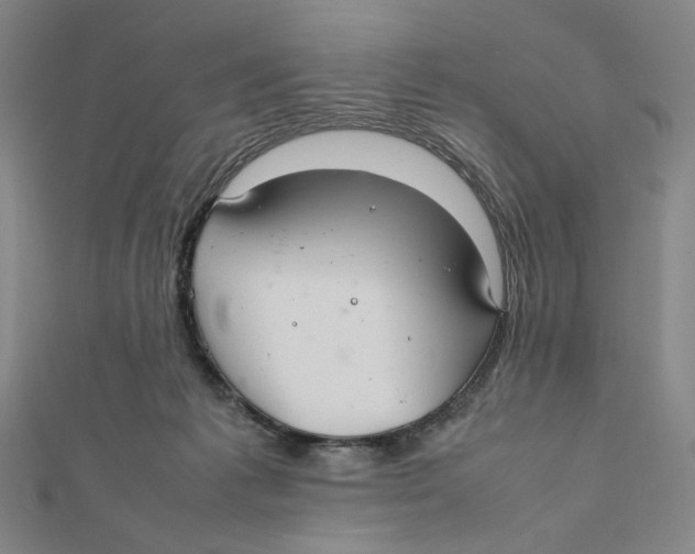 X0000112010221200908311140
