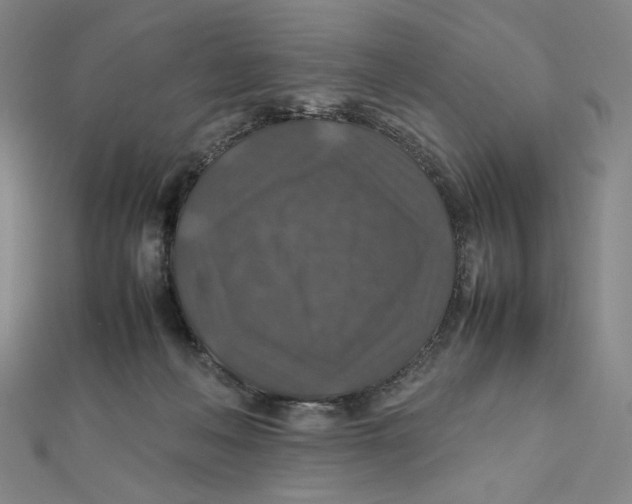 X0000112010222200908311140
