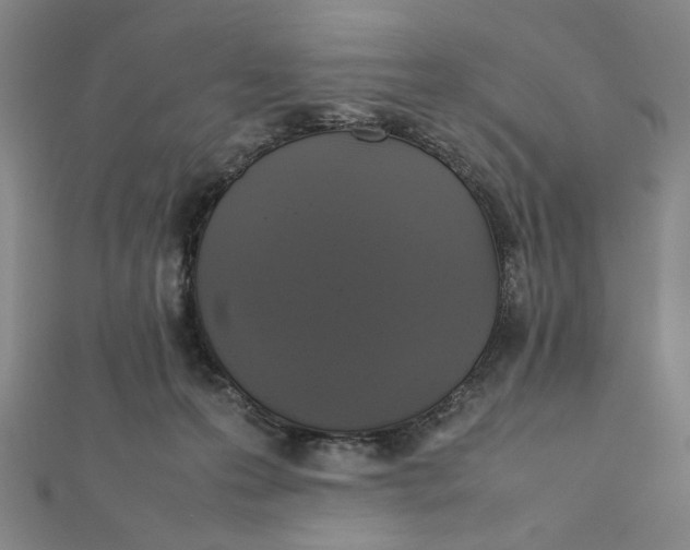 X0000112010223200908311140