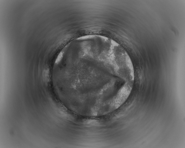 X0000112010224200908311140