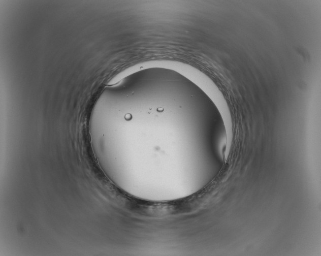 X0000112010225200908311140