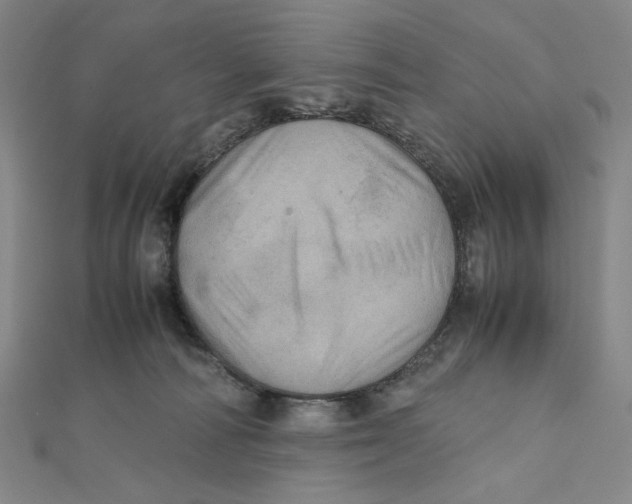 X0000112010226200908311140
