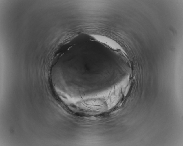X0000112010227200908311140