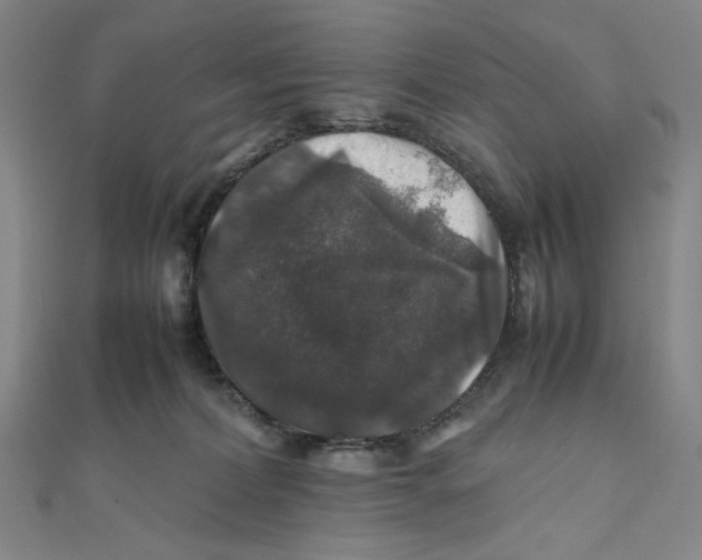 X0000112010228200908311140