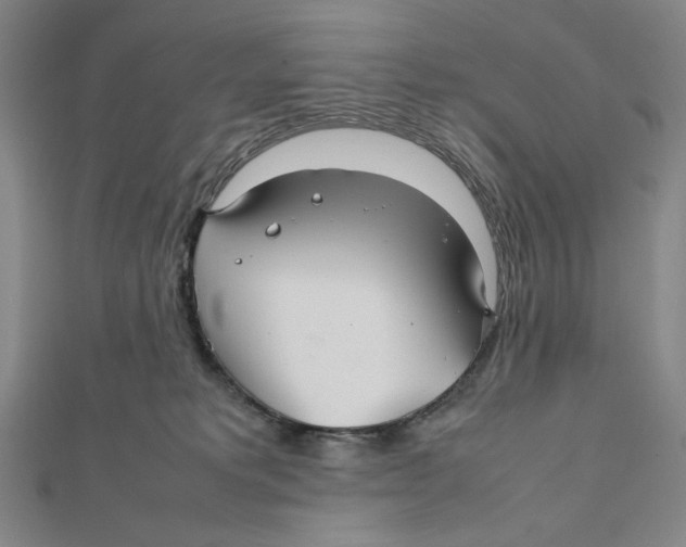 X0000112010229200908311140