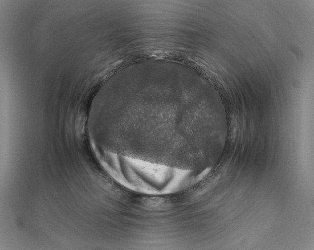 X0000112010230200908311140