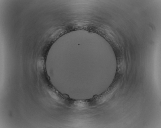 X0000112010231200908311140
