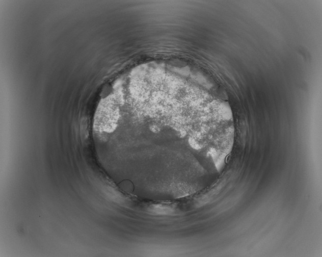 X0000112010232200908311140
