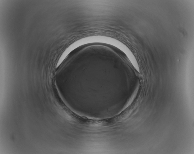 X0000112010235200908311140