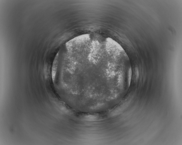 X0000112010236200908311140