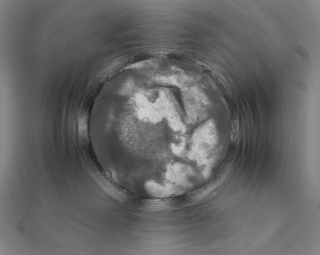 X0000112010238200908311140