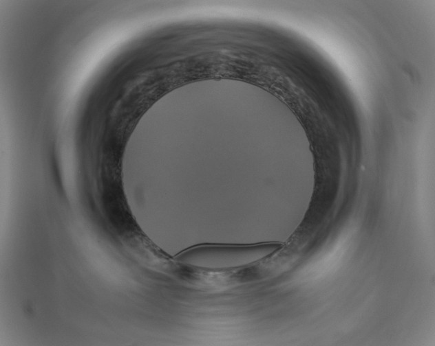 X0000112010239200908311140